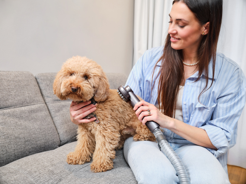 Акумуляторний пилосос ETA Terier 5247 90000 ( 3 в 1)