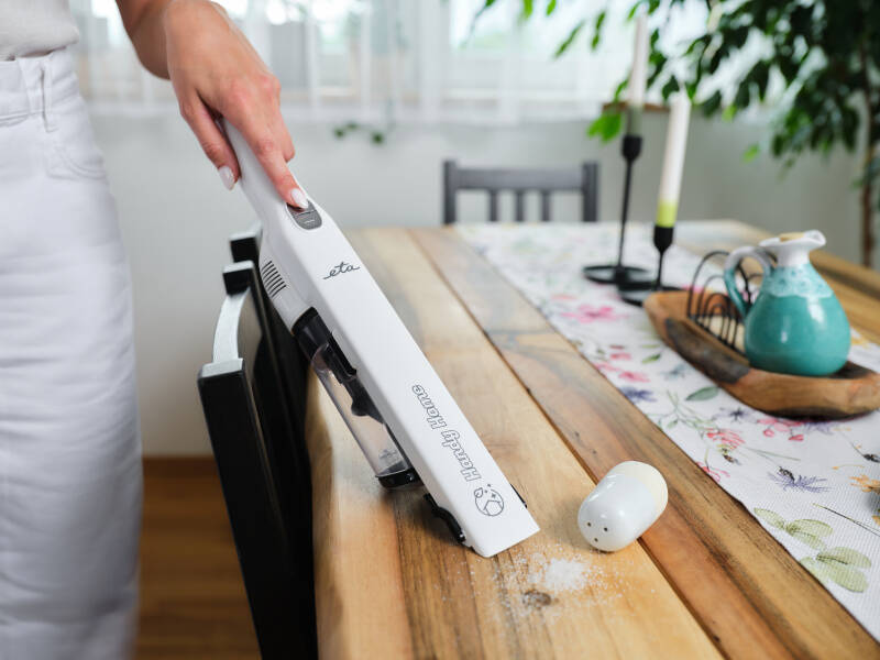 Акумуляторний пилосос ETA Handy Home 5428 90000 (2 в 1)